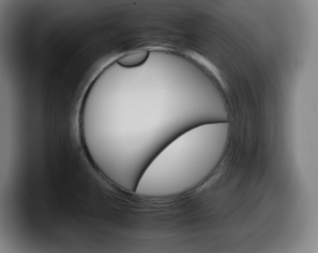 X0000099511423200805151001