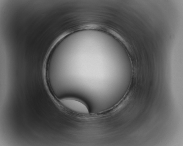 X0000099511426200805151001