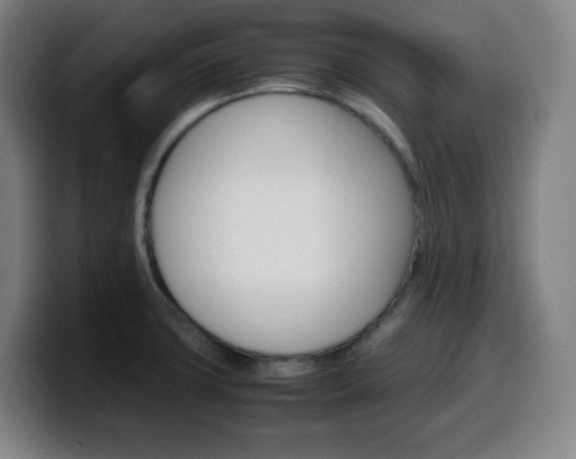 X0000099511427200805151001