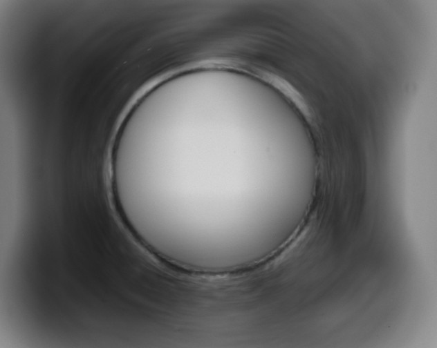 X0000099511428200805151001
