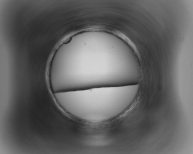 X0000099511429200805151001