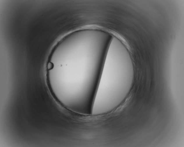 X0000099511430200805151001