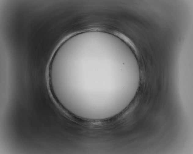 X0000099511431200805151001