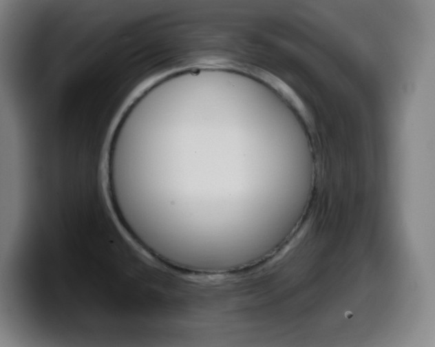 X0000099511432200805151001