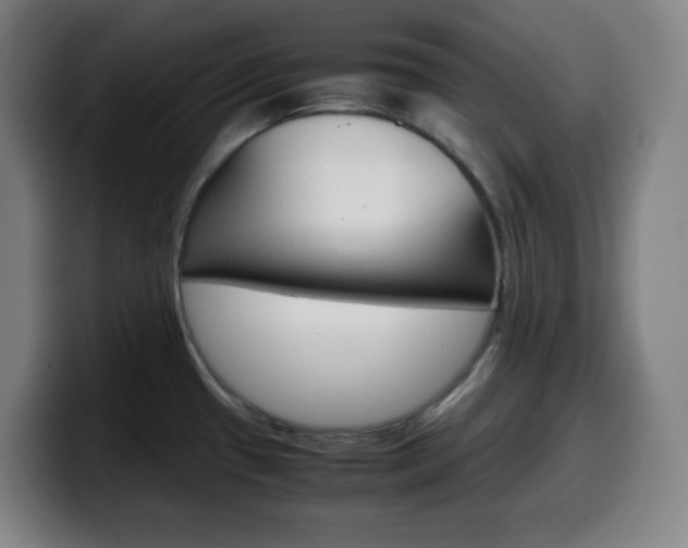 X0000099511433200805151001