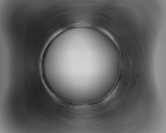 X0000099511434200805151001