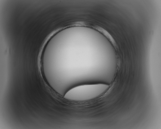 X0000099511435200805151001