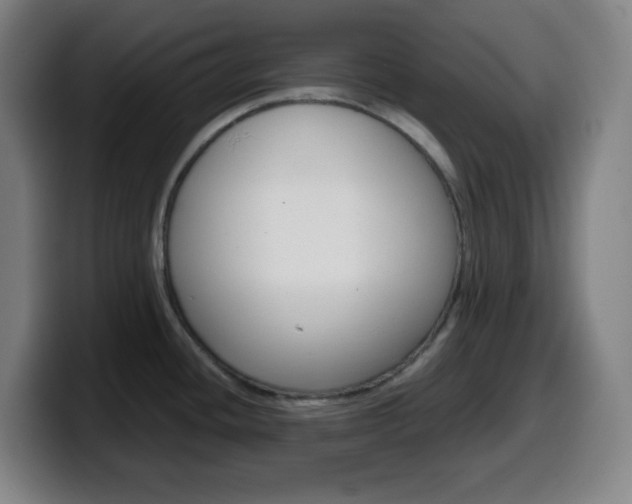 X0000099511436200805151001