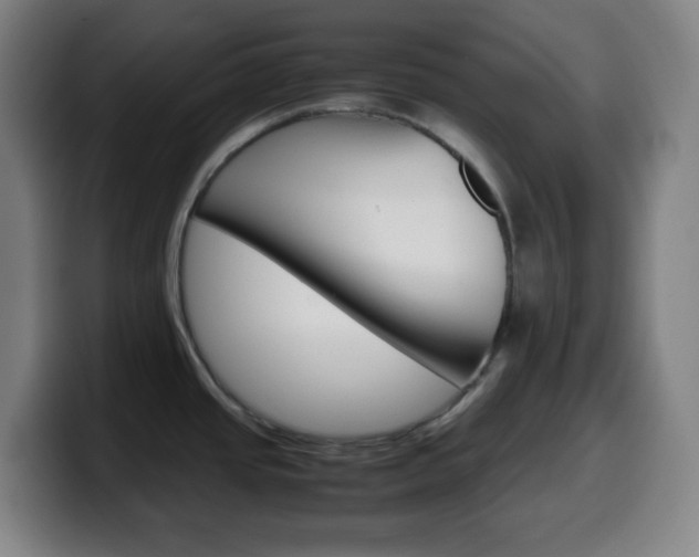 X0000099511437200805151001