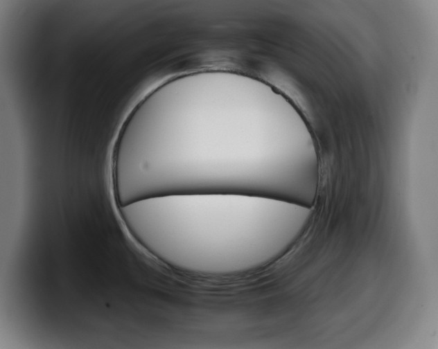 X0000099511439200805151001