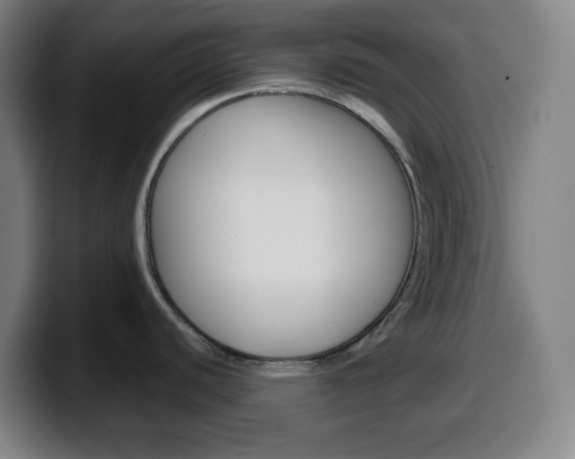 X0000099511440200805151001