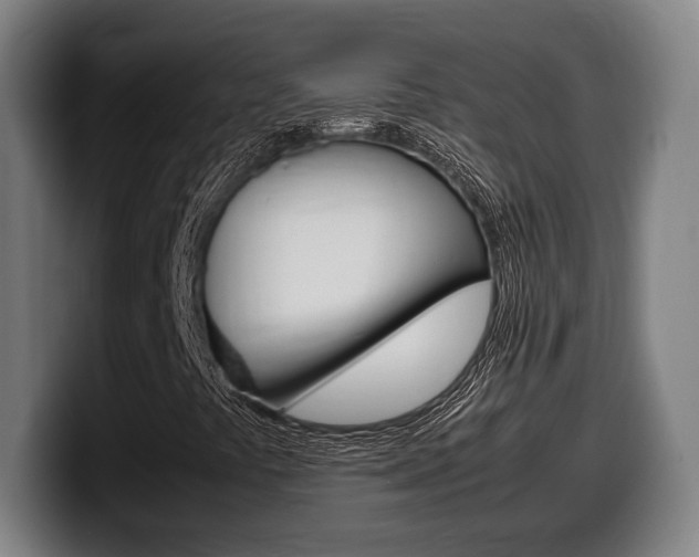 X0000099511441200805151000