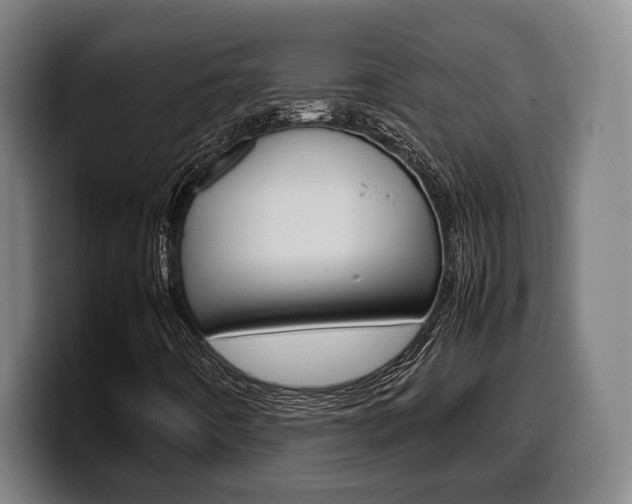 X0000099511442200805151000
