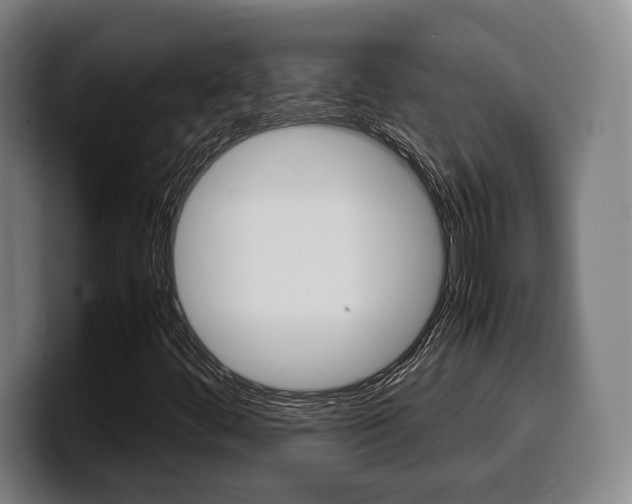 X0000099511444200805151000
