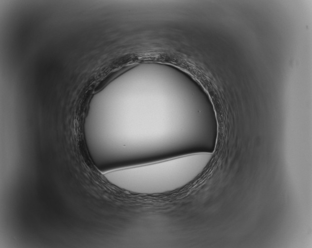X0000099511445200805151000