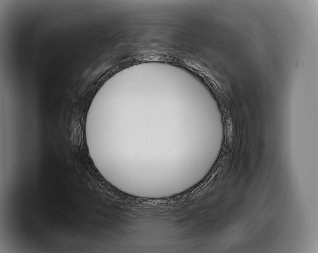 X0000099511446200805151000