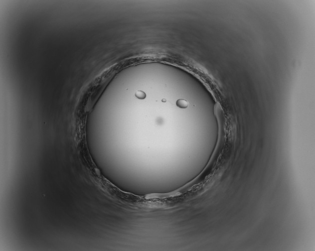 X0000099511448200805151000