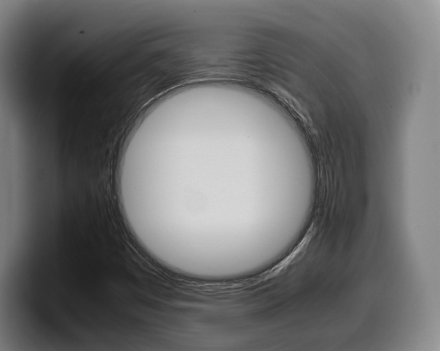 X0000099511449200805151000