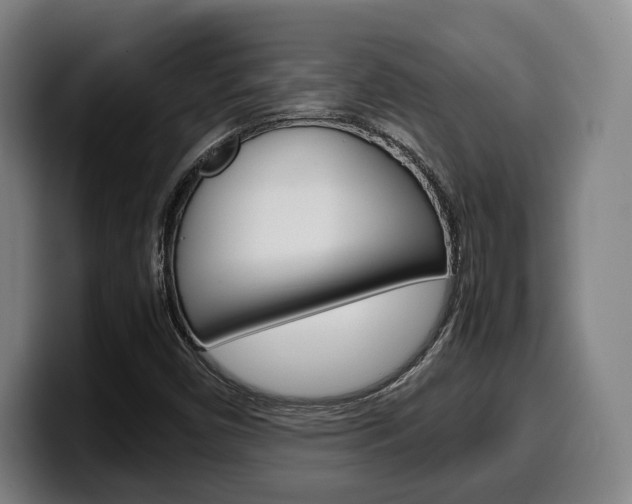X0000099511450200805151000