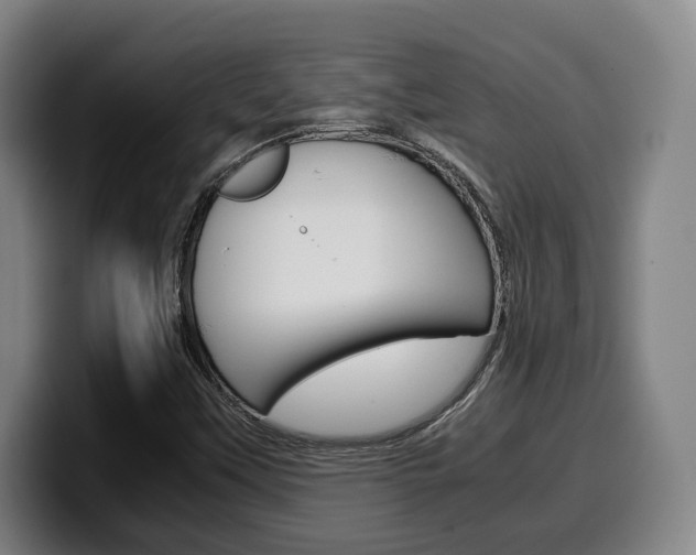 X0000099511451200805151000