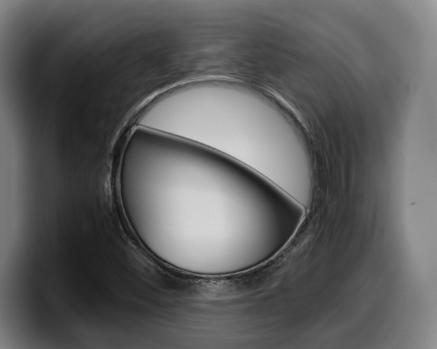 X0000099511452200805151000