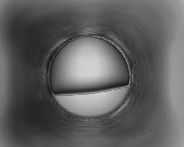 X0000099511453200805151000