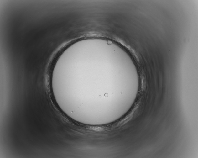 X0000099511454200805151000