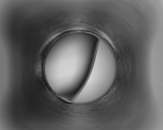 X0000099511456200805151000