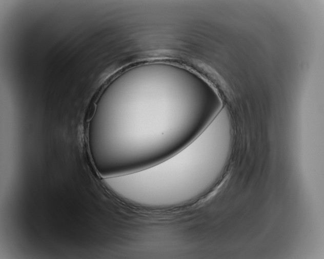 X0000099511457200805151000