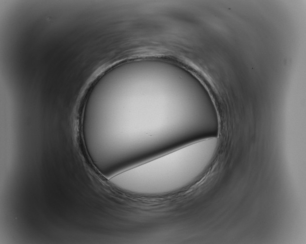 X0000099511459200805151000