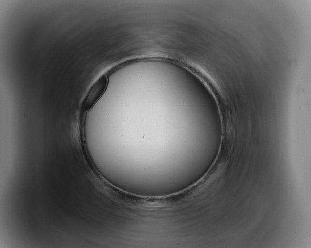 X0000099511460200805151000