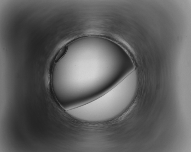 X0000099511461200805151000