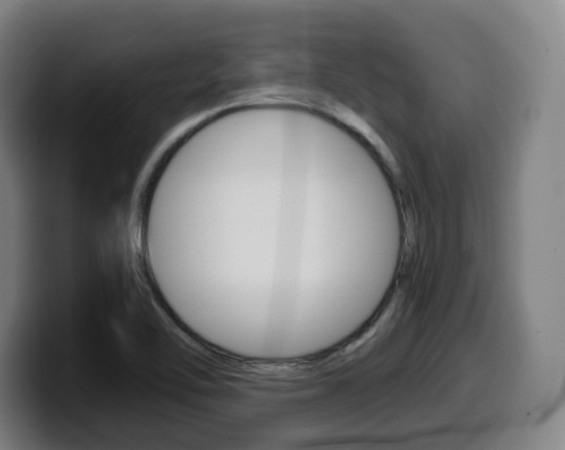 X0000099511462200805151000