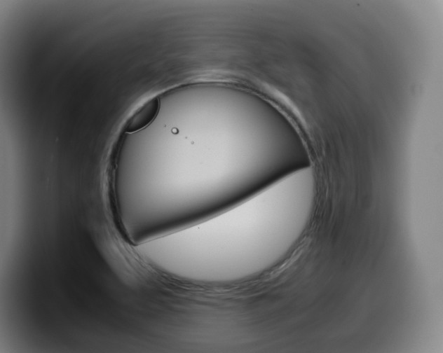 X0000099511463200805151000