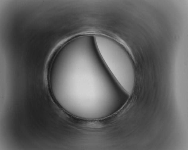 X0000099511464200805151000