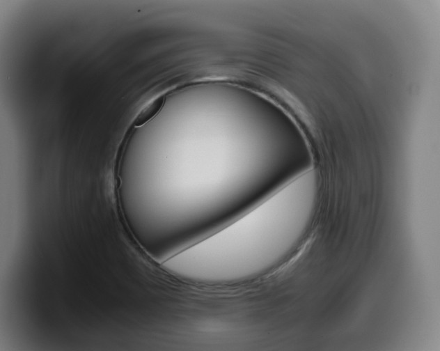 X0000099511465200805151000