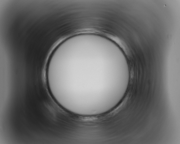 X0000099511466200805151000