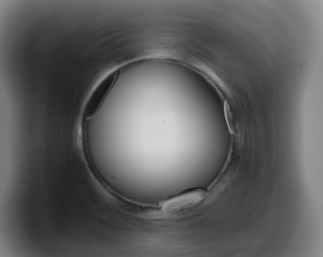 X0000099511468200805151000