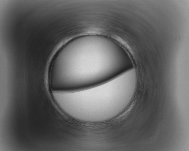 X0000099511469200805151000