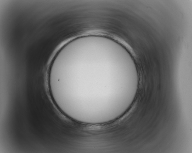 X0000099511470200805151000