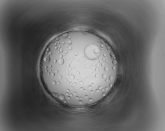 X0000099511471200805151000
