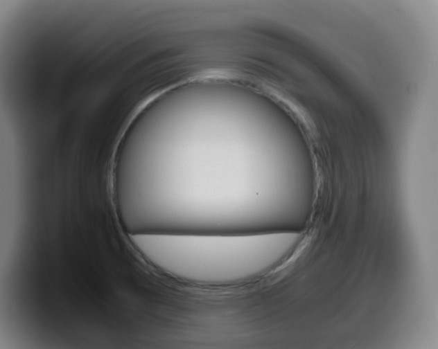 X0000099511473200805151000