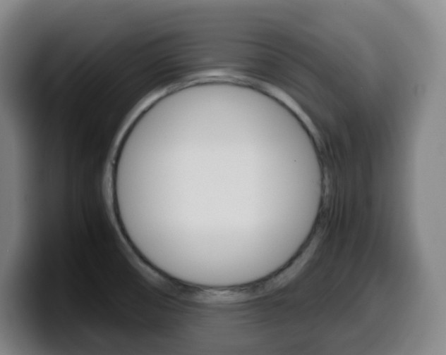 X0000099511474200805151000