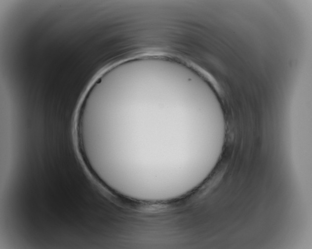 X0000099511475200805151000