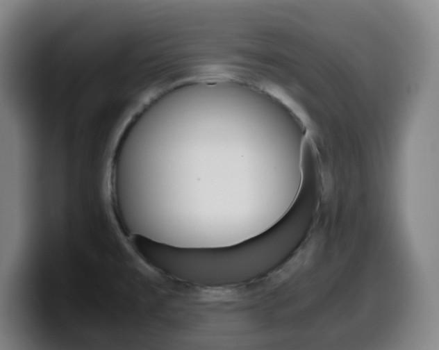 X0000099511477200805151000