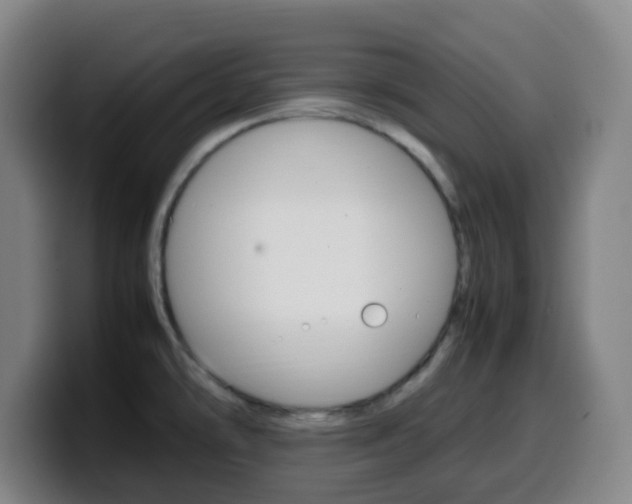 X0000099511478200805151000