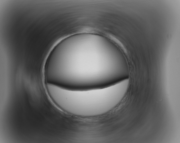 X0000099511479200805151000