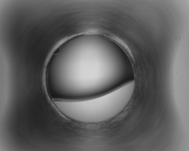 X0000099511480200805151000