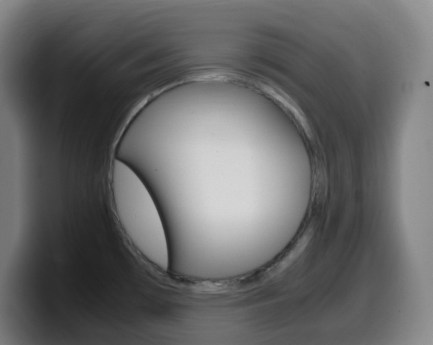 X0000099511481200805151000