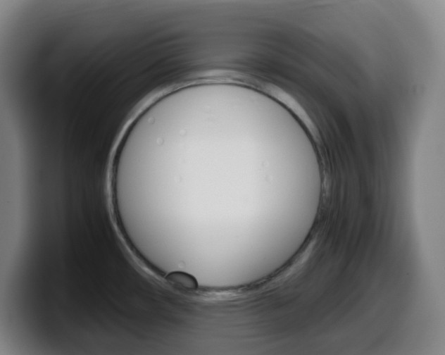 X0000099511482200805151000